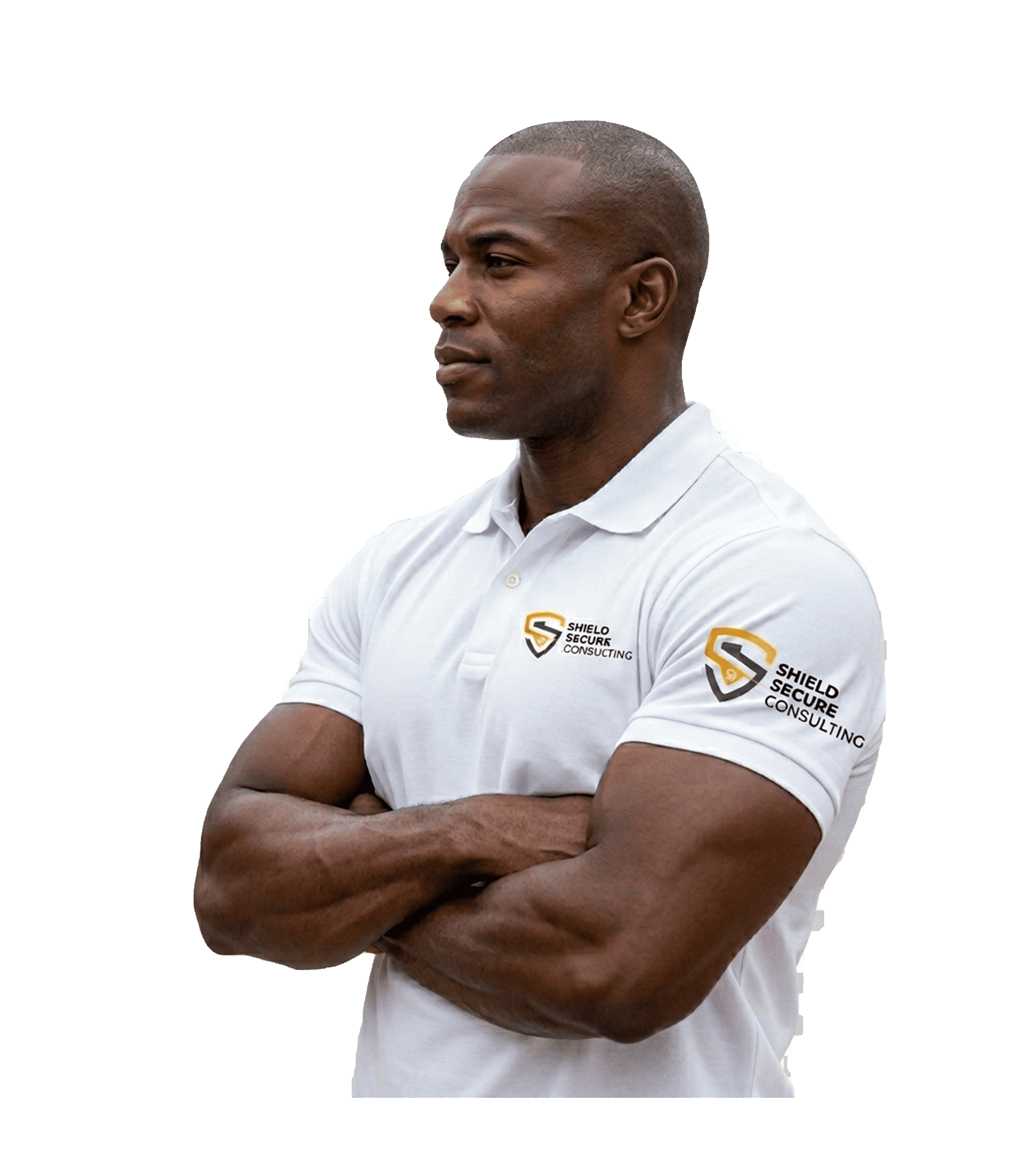Agent Shield Secure Consulting